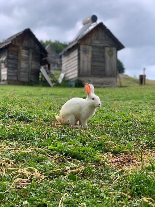 Etno Village Katun Žabljak Exteriér fotografie