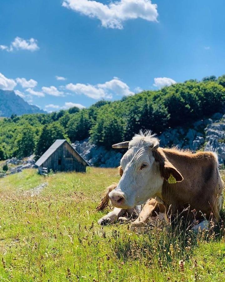 Etno Village Katun Žabljak Exteriér fotografie