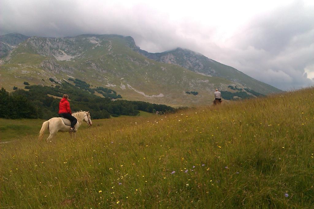 Etno Village Katun Žabljak Exteriér fotografie