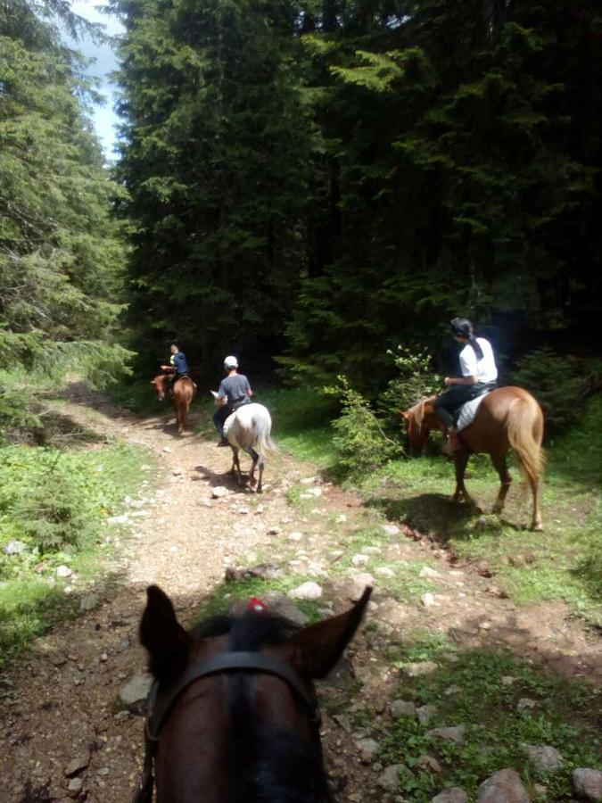 Etno Village Katun Žabljak Exteriér fotografie