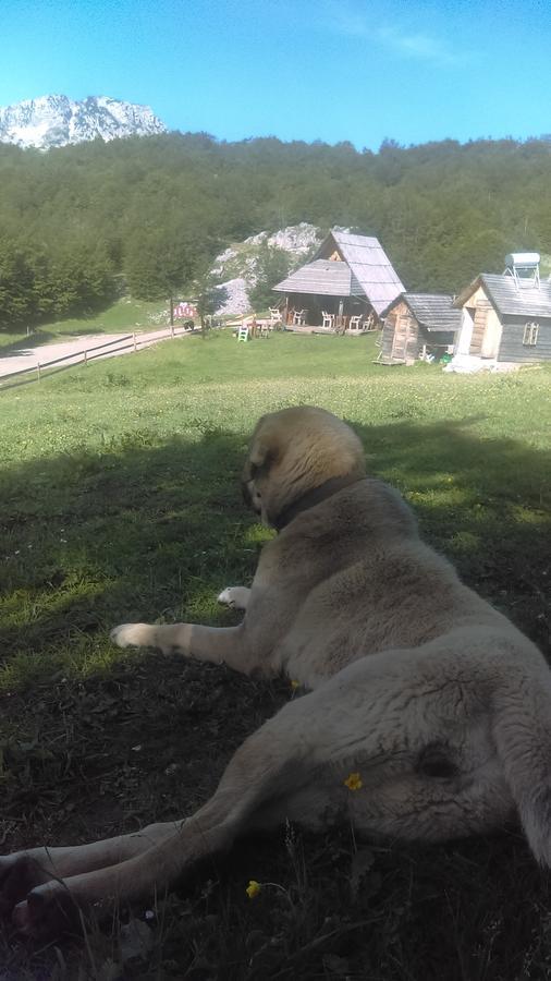 Etno Village Katun Žabljak Exteriér fotografie
